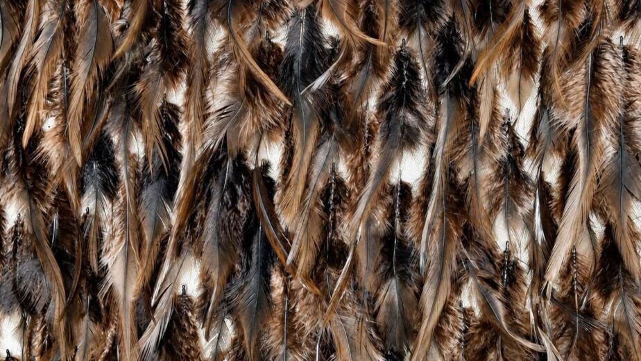 Feathers